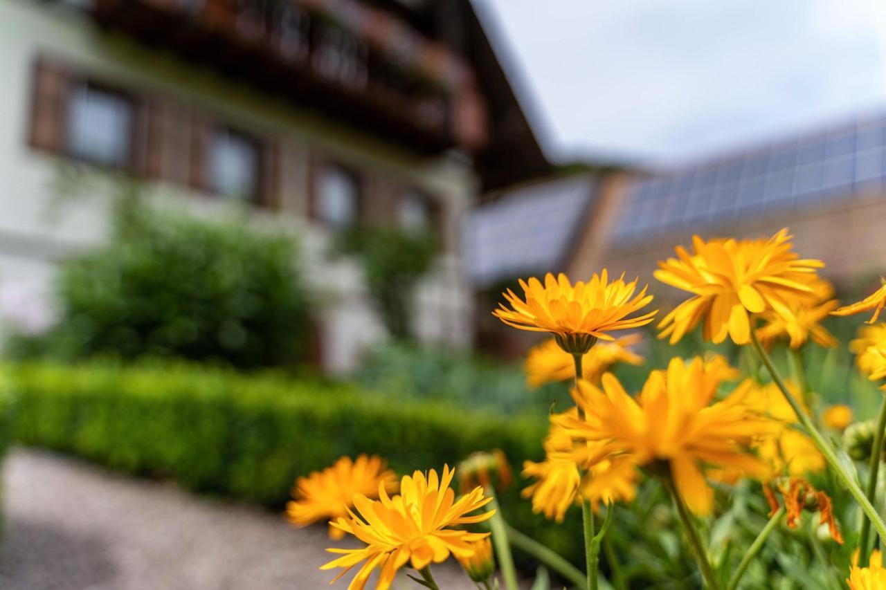 Am Doettelbach Apartamento Bad Peterstal-Griesbach Exterior foto