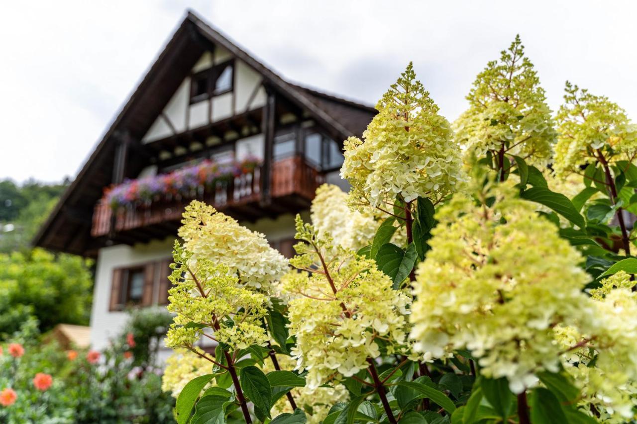 Am Doettelbach Apartamento Bad Peterstal-Griesbach Exterior foto
